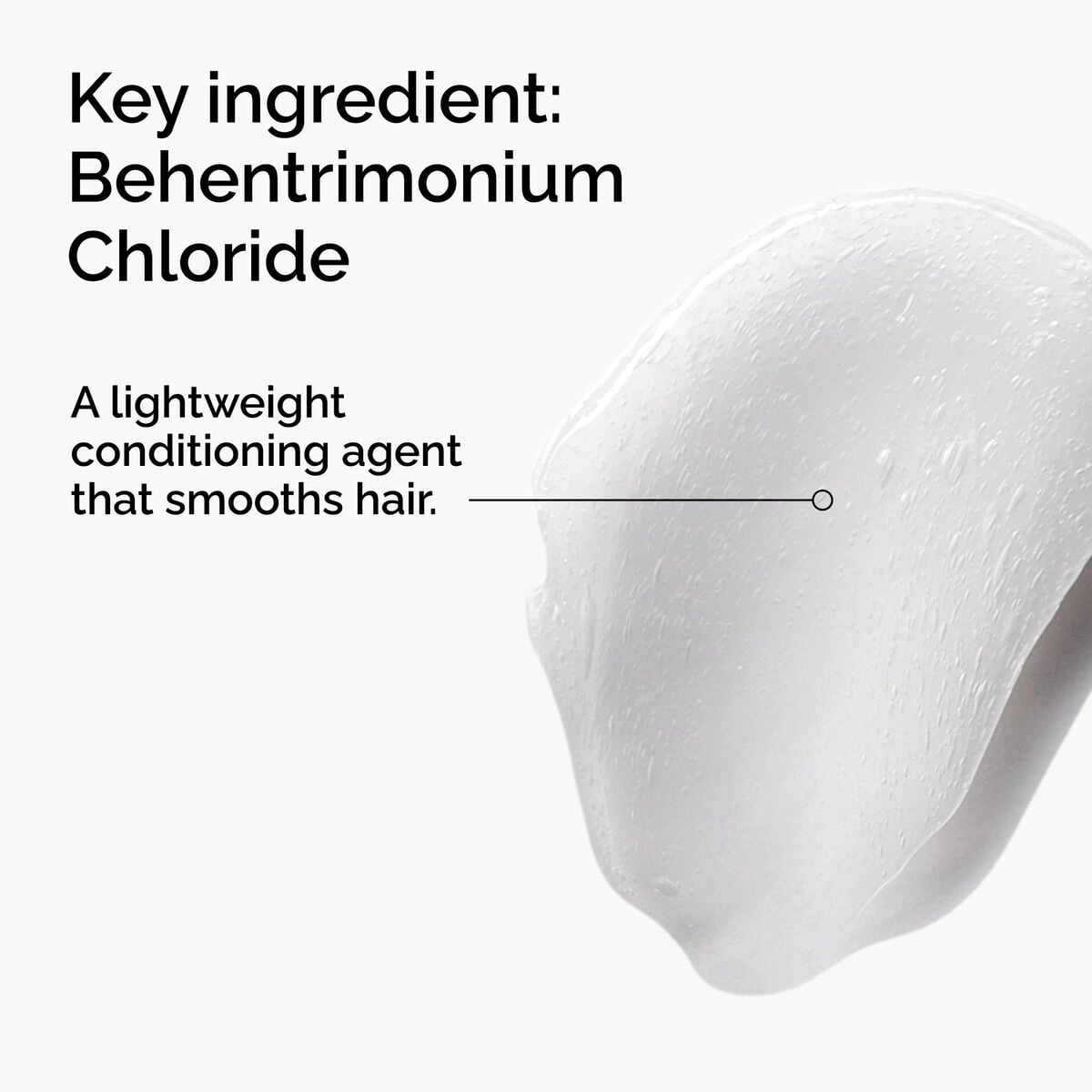 behentrimonium-chloride-2-conditioner-r6 FY25-D41247-ORD-Web-PDP-BTC-1x1-EN-2a.jpg