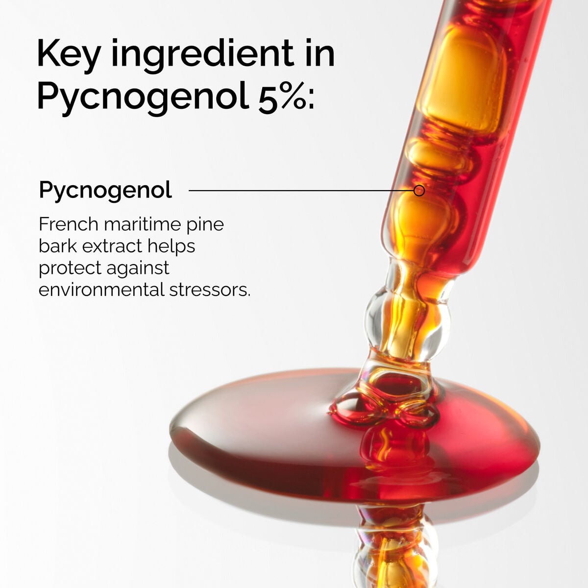pycnogenol-5-h2 FY25-D41247-ORD-Web-PDP-Pyc-5pct-1x1-EN-2a.jpg