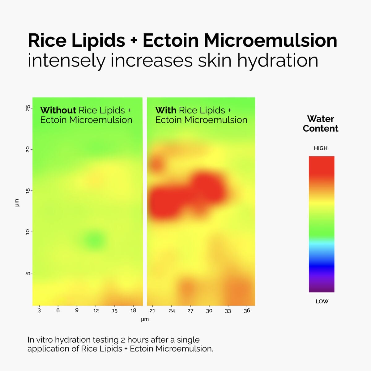rice-lipids-ectoin-microemulsion-h2 ord-rice-lipids-ectoin-microemulsion-thermal-before-after.jpg